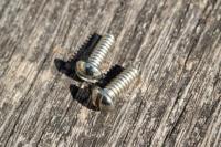 Inch Blackguard Switch screws slotted (2)