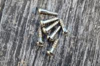 Inch Blackguard Machine Head screws slotted (7)