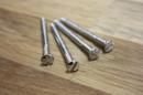 Inch Blackguard Neck joint screws slotted (4)