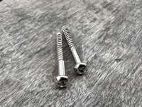 mm TL Neck PU mount screws (2)