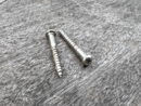 mm TL Neck PU mount screws short (2)