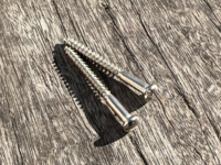 Inch Blackguard Neck PU screws slotted (2)